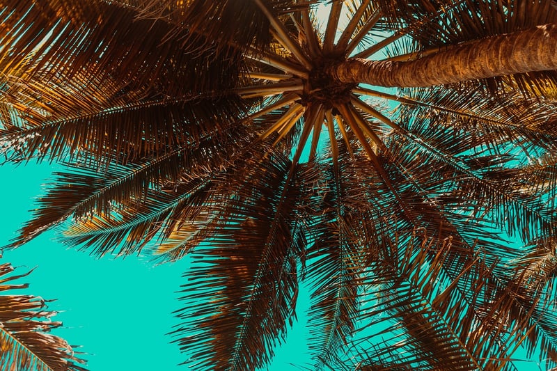 Luxury Vacation